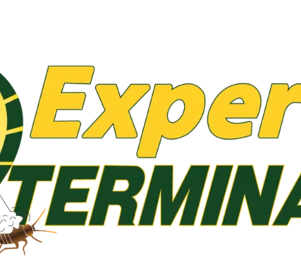 Фото №0 Обработка от камаров