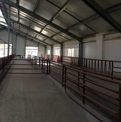 Фото №0 Реконструкция животноводческих помещений