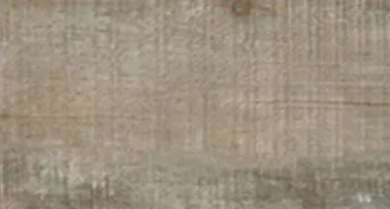 Фото №0 Керамогранит Керамика Будущего Граните Вуд Эго серый 19,5х120 SR структурная Рект.