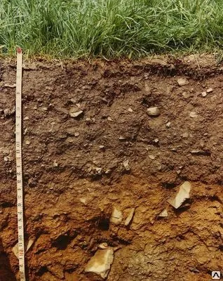 Фото №0 Инженерно-геологические изыскания для частного строительства