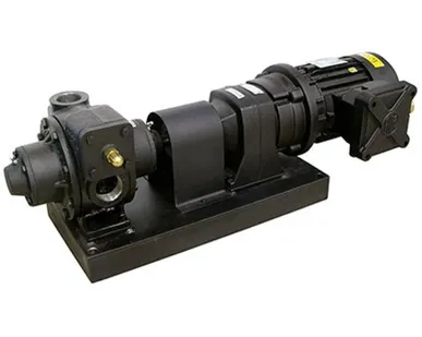 фото BDP-500 230/400 VAC EExd · F2 1/2" - Высокопроизводительный роторный лопастной электронасос для бенз