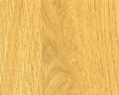 фото HPL (Декоративный пластик )1570×3050 х 0,6-25 мм. цвет  Дуб Солнечный 868