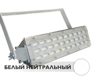 фото Прожектор светодиодный М1 30W 220V IP66 NI NW