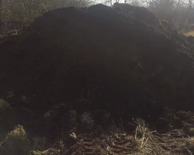 фото Навоз до года выдержки