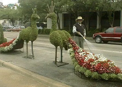 Фото №0 Топиарий (Топиарий своими руками)