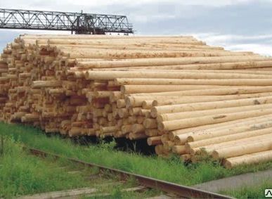 фото Деревянные опоры ЛЭП пропитанные