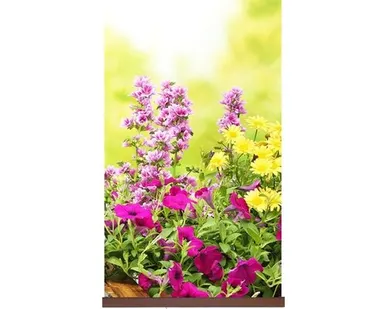 фото Инфракрасный плёночный