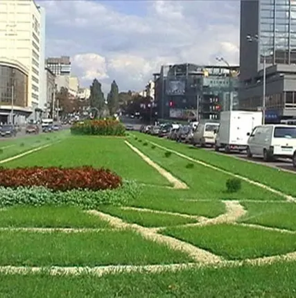 Фото №0 Устройство газонов