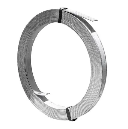 Фото №0 Полоса 4х40мм HZ (уп.40м) PROxima EKF gc-0440-40-hz