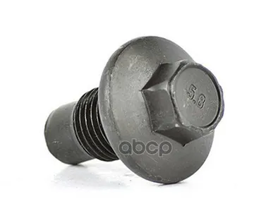фото Пробка Сливная Поддона V250439 Bsg Bsg30230035 BSG AUTO PARTS арт. BSG30230035