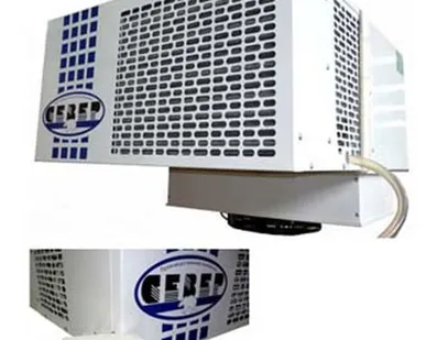 фото Моноблок морозильный потолочного типа BSB 220 S