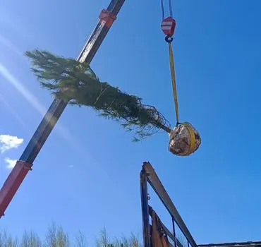 Оплот