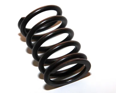 фото Пружина клапанов большая 08