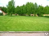 фото Озеленение парков и скверов