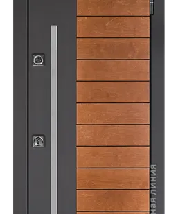 фото Входная дверь Сага SAGA.M100M.2