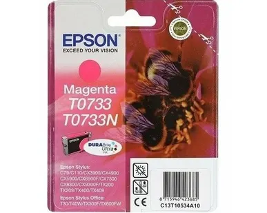 фото Картридж Epson C13T10534A10