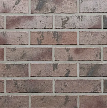 Фото №0 Roben Кирпич Roben RIVERSDALE 66 NF (240x115x71)