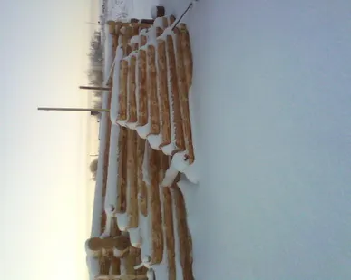 фото Сруб 7х7