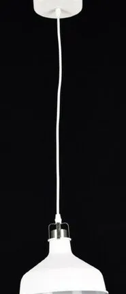 Фото №0 Подвесной светильник ФЛ-HN8049M WT+SATIN NICKEL Никольск