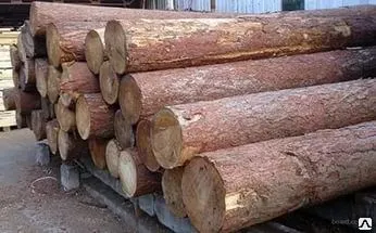 фото Постоянно закупаем лес кругляк пиловочник