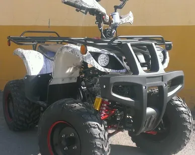 фото Квадроцикл AVENGER EVO