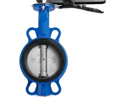 фото Затворы