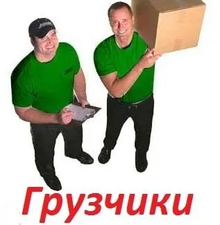 Фото №0 Грузчики