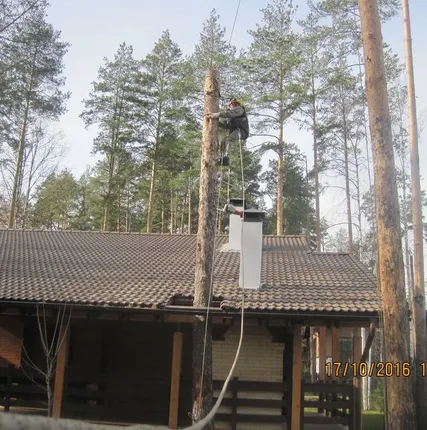 Фото №0 Обрезка деревьев