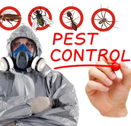 Фото №0 Уничтожение обработка от грызунов