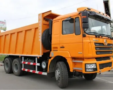 фото САМОСВАЛ Shacman F3000 6x4 (SX3258DR384)