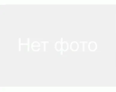 фото Крепление решетки снегозадержания F8 1/2 Nelskamp