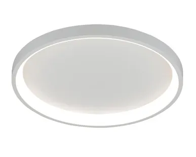 фото Светильник светодиодный РОСТОК 2532/500 WT, 54W LED 3000К-6000К d500 ПДУ диммер, белый