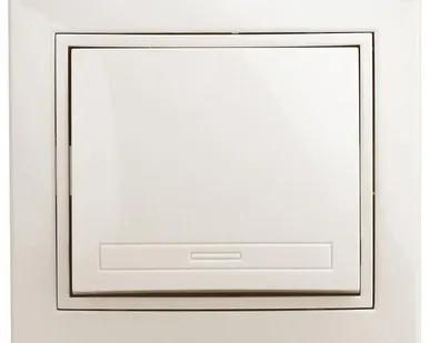 фото Выключатель 1-кл. СП Plano 10А IP20 1-101-02 250В сл. кость Intro Б0027596