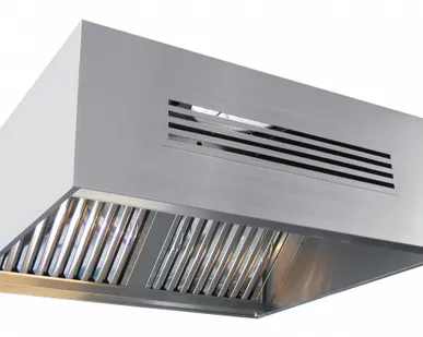 фото Зонт вентиляционный ЗПВ-1100-2-О