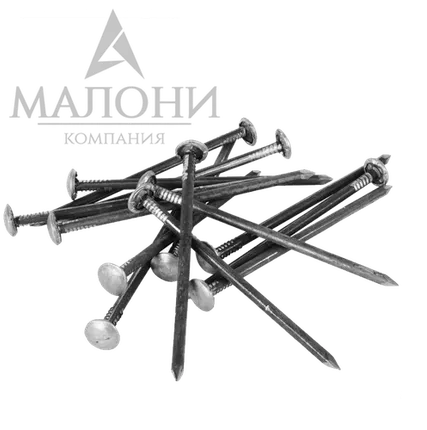 Фото №0 Гвозди шиферные с зав. шл. 5,0х120, 1шт.