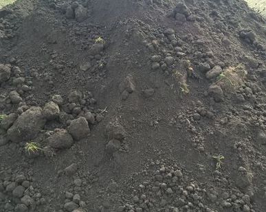 фото Грунт неплодородный