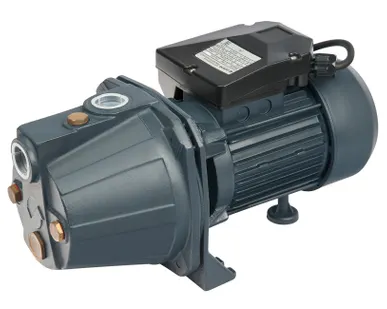 фото JET 100 S поверхностный насос