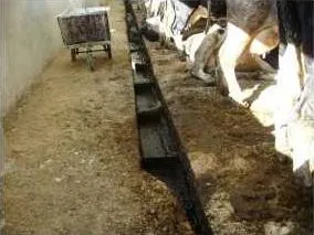 Фото №1 Транспортеры навозоудаления ТСН 2Б 3Б в Первоуральске