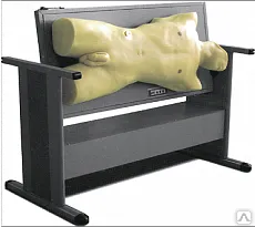 фото Модель для пальпации, перкуссии и пункции абдоминальной области