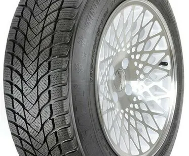 фото LANDSAIL WINTER LANDER