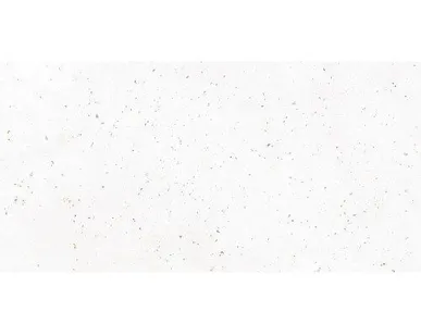 фото Керамический гранит GRASARO Granella 1200x600 белый G-40/MR