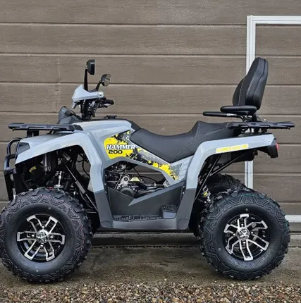 Фото №1 Квадроцикл Mikilon Hammer 200L Pro Long «Серый»