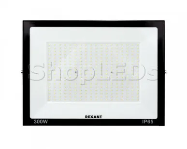 фото Neon-Night Прожектор светодиодный СДО 300Вт 2400Лм 6500К холодный свет, черный корпус REXANT