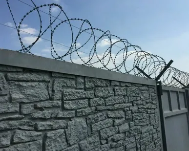 фото Колючая проволока для забора Кировский