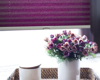 фото Шторы плиссе