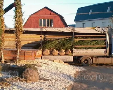 фото Доставка крупномеров