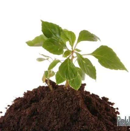 Фото №0 Грунт