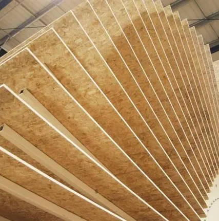 Фото №0 ОСП-3 КАЛЕВАЛА-ЭКОДОМ 12 мм