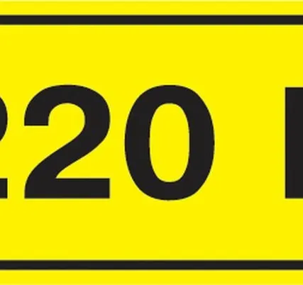 Фото №0 Этикетка самоклеящаяся 40х20 мм, символ "220В" YPC10...