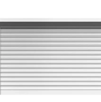 Фото №0 Рольставни для гаража - белые 2500х2100 мм